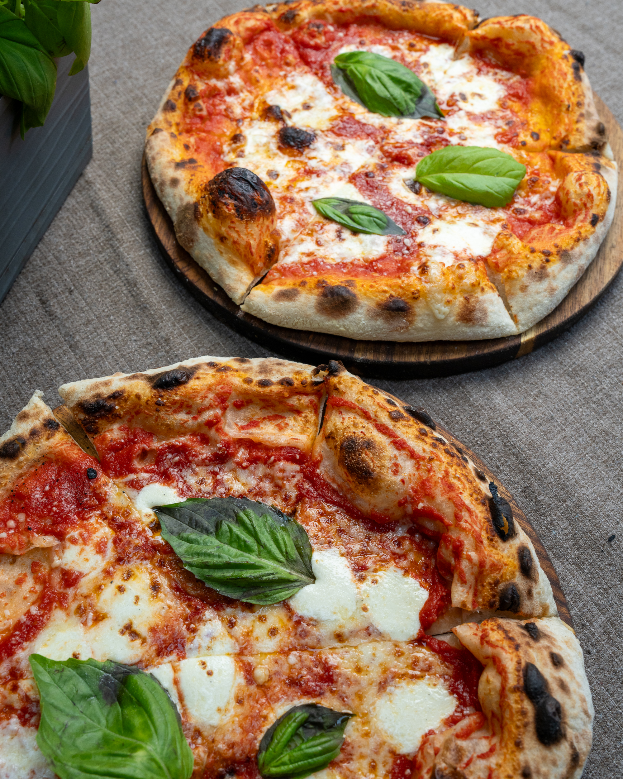Long Island Pizza Festival event photography for Serpico's Bread Co. at Nassau Coliseum